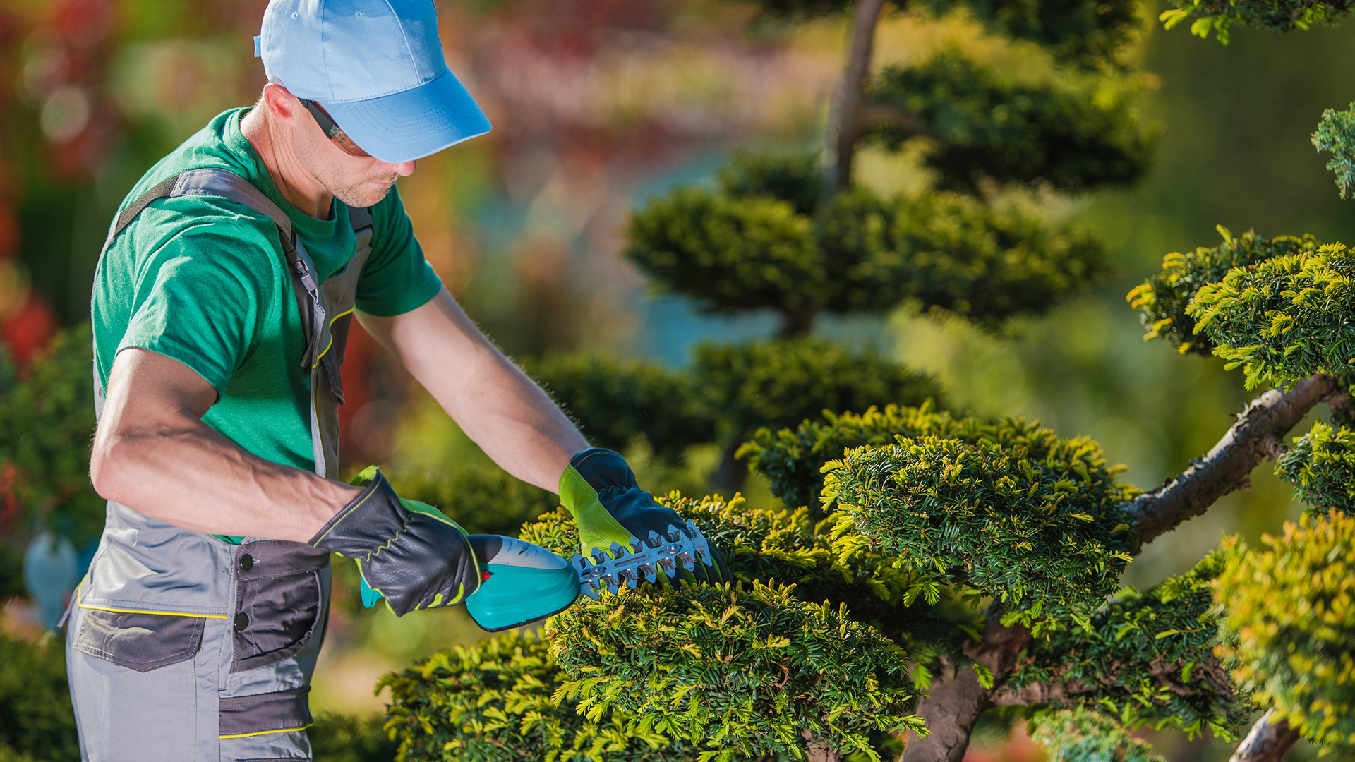 Funcionário realizando serviço de jardinagem